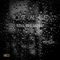 Soul Des Jaguar - House Unleashed
