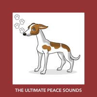 Relaxing Dog Music - The Ultimate Peace Sounds