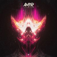 Amiir - Syndicate