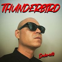 Delamota - Thunderbird