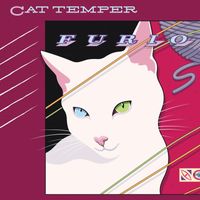 Cat Temper - Furio