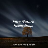 Spa Zen, Bedtime Baby, Meditation & Stress Relief Therapy - Pure Nature Recordings
