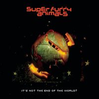 Super Furry Animals - It's Not the End of the World?