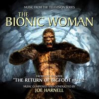 Joe Harnell - The Bionic Woman Collection, Vol. 5 (Music from the Television Series)