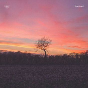 Various Artists - Reflections 03