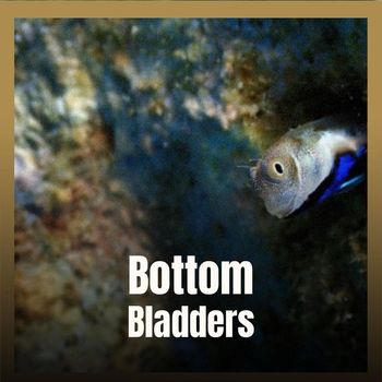 Various Artists - Bottom Bladders