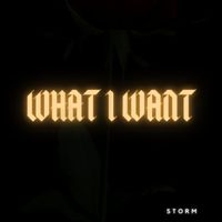 Storm - What I Want (Explicit)