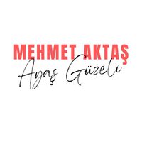 Mehmet Aktaş - Ayaş Güzeli