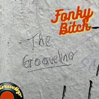 The Grooveliner - Fonky Bitch (Explicit)
