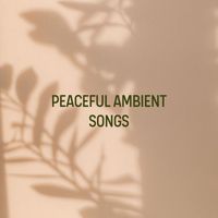 Zen - Peaceful Ambient Songs