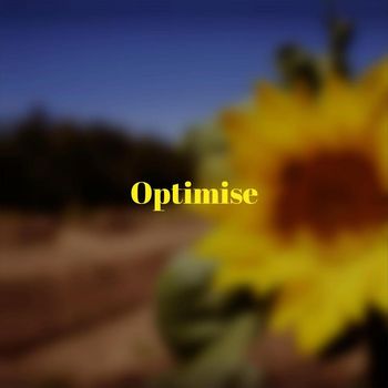Various Artists - Optimise