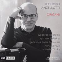 Teodoro Anzellotti - Origami
