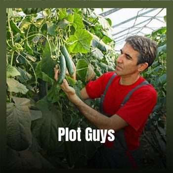 Various Artists - Plot Guys