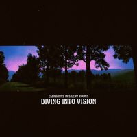 Elephants in Silent Rooms - Diving into Vision