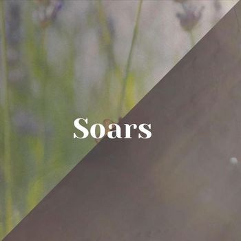 Various Artists - Soars