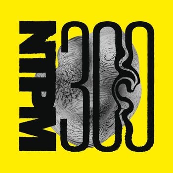 Various Artists - NTPM300