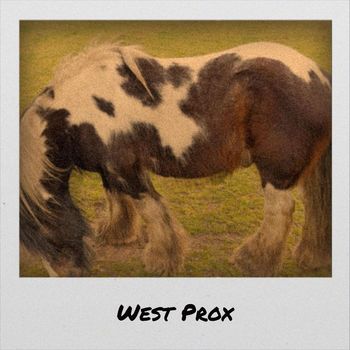 Various Artists - West Prox
