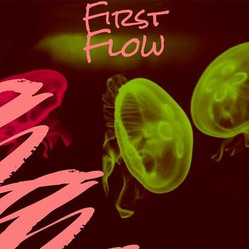 Various Artists - First Flow