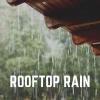 Rainfall - Rooftop Rain