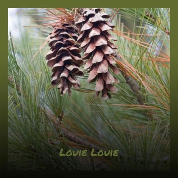 Various Artist - Louie Louie