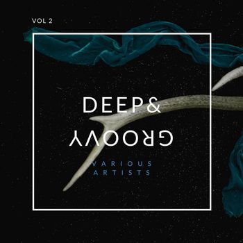 Various Artists - Deep and Groovy, Vol. 2