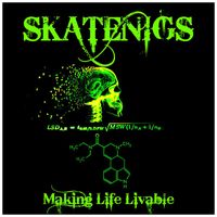 Skatenigs - Making Life Livable (Chemical Imbalance *Wiccid Remix) (Explicit)