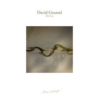 David Grumel - Delta