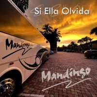 Mandingo - Si Ella Olvida (2022 Mix)