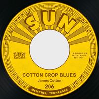 James Cotton - Cotton Crop Blues / Hold Me in Your Arms