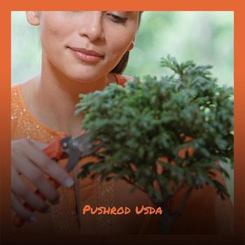 Various Artists - Pushrod Usda