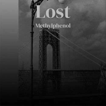 Various Artists - Lost Methylphenol
