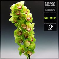 RafleSTone - Wake Me Up