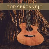 Marcel Torres - Top Sertanejo
