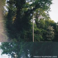 Dewey - Trees & Telephone Lines