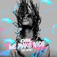 DSL - We Make Nice
