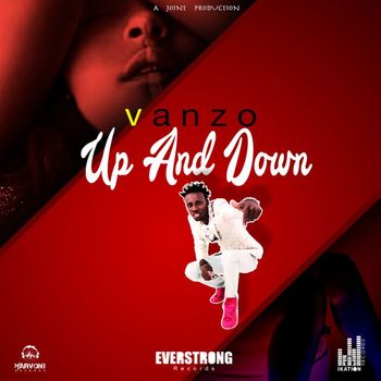 Vanzo - Up And Down - Single