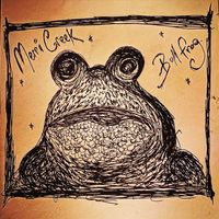 Shaky Stills - Merri Creek Bullfrog