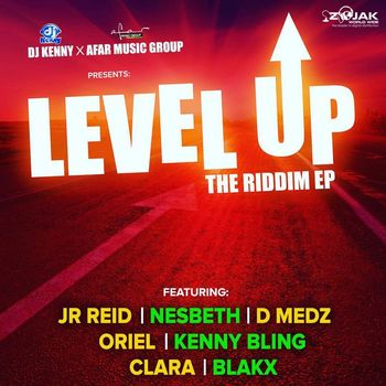 Various Artists - Level Up Riddim