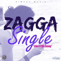 Zagga - Like A Hit Song - Single