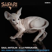 Saul Antolin - A La Pirrukana
