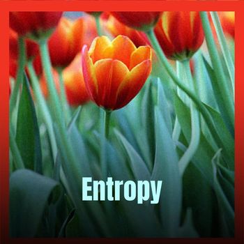 Various Artists - Entropy