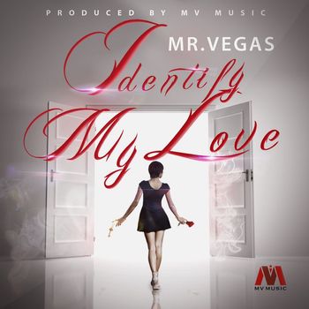 Mr. Vegas - Identify - Single