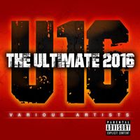 Various Artistes - The Ultimate 2016 (Raw)