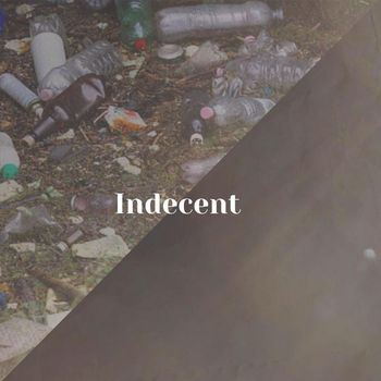 Various Artists - Indecent