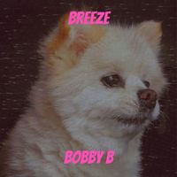 Bobby B - Breeze (Explicit)