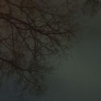 wisp - dialtone (Explicit)