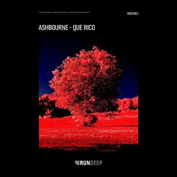 Ashbourne - Que Rico