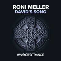 Roni Meller - David's Song