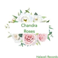 Chandra - Roses