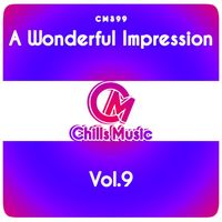 Various Artists - A Wonderful Impression, Vol. 9
